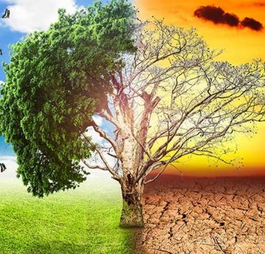 El cambio climático